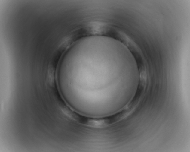 X0000114030554200910021441