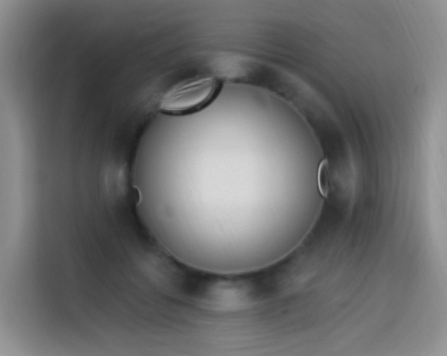 X0000114030556200910021441
