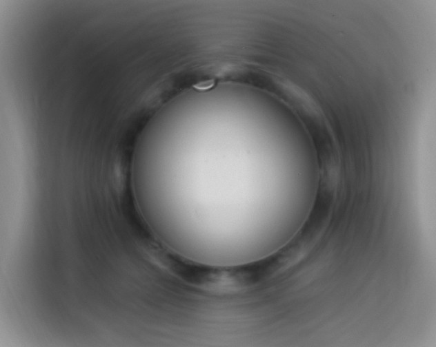 X0000114030558200910021441