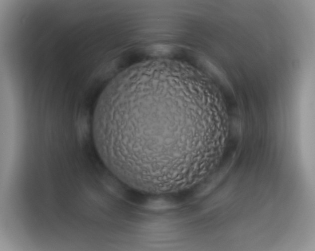 X0000114030561200910021441