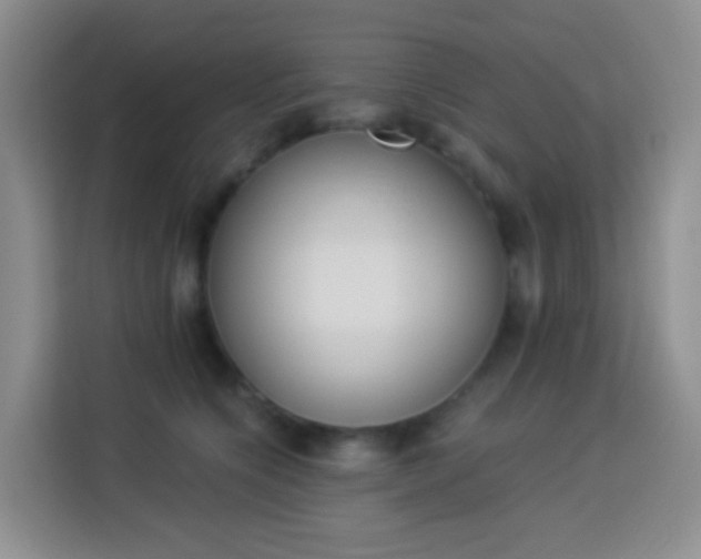 X0000114030564200910021441