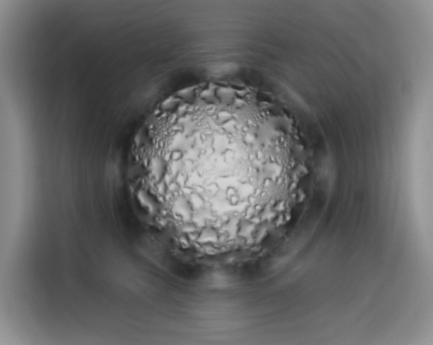 X0000114030565200910021441