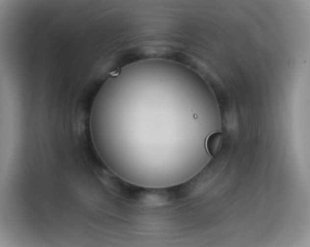 X0000114030567200910021441