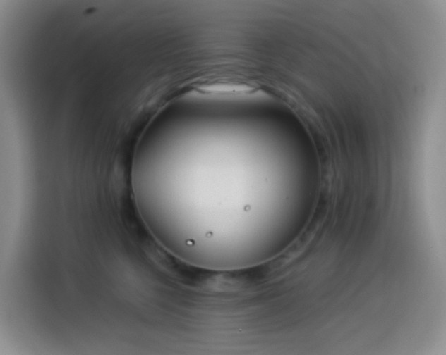 X0000114030568200910021441