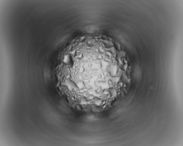 X0000114030569200910021441