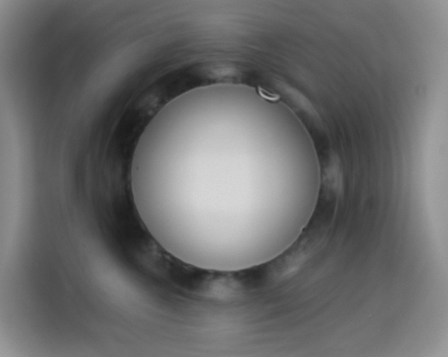 X0000114030572200910021441
