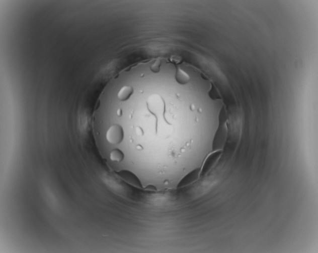 X0000114030574200910021441