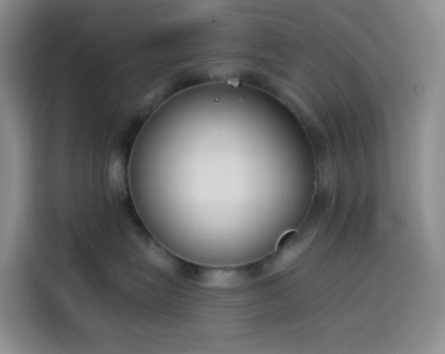 X0000114030575200910021441
