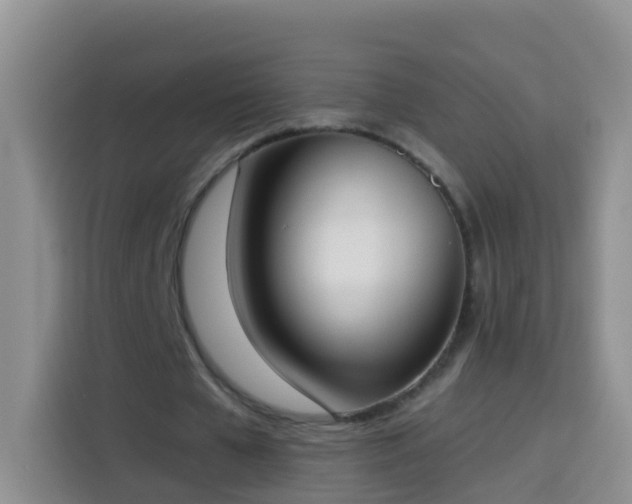 X0000114030577200910021440