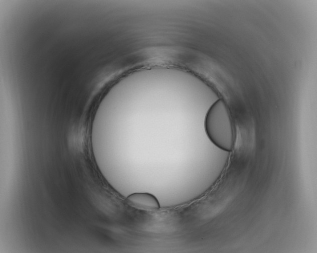 X0000114030579200910021440