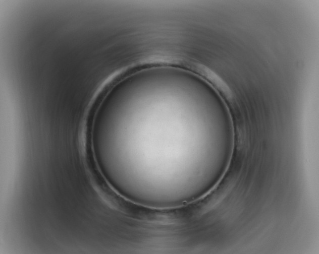 X0000114030580200910021440