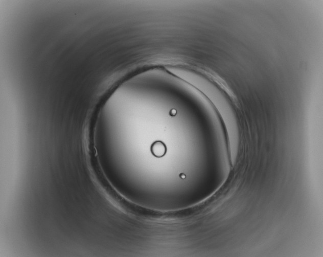 X0000114030581200910021440