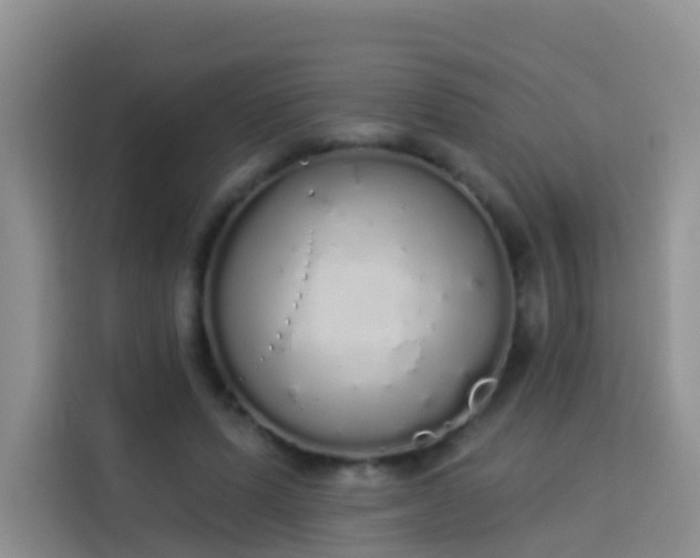 X0000114030591200910021440