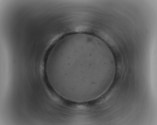 X0000114030592200910021440
