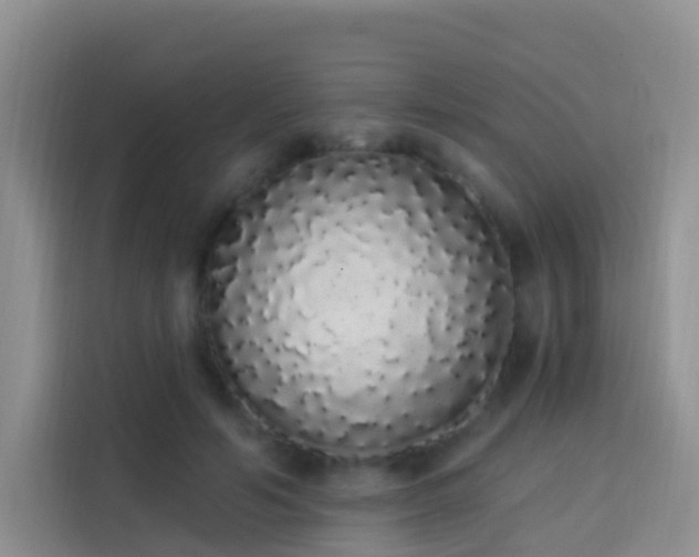X0000114030594200910021440