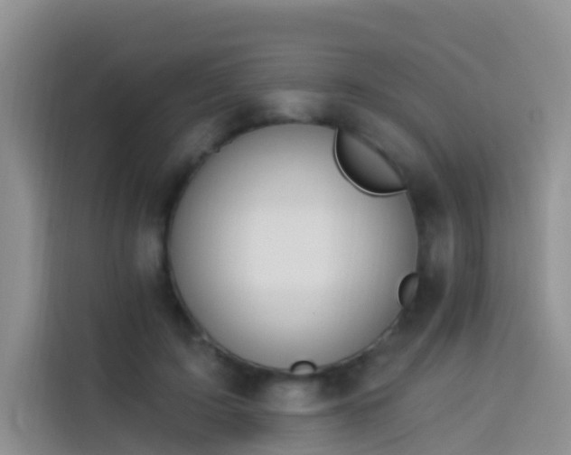 X0000114030595200910021440
