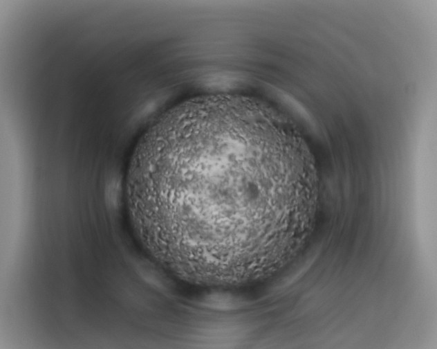 X0000114030596200910021440