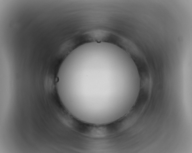 X0000114030599200910021440