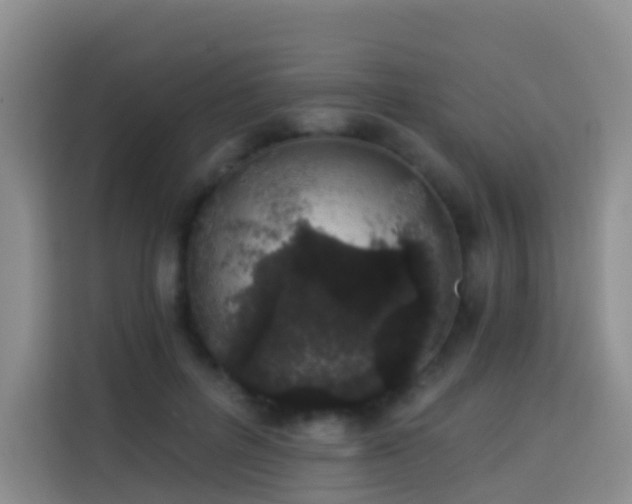 X0000114030600200910021440