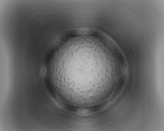 X0000114030602200910021440