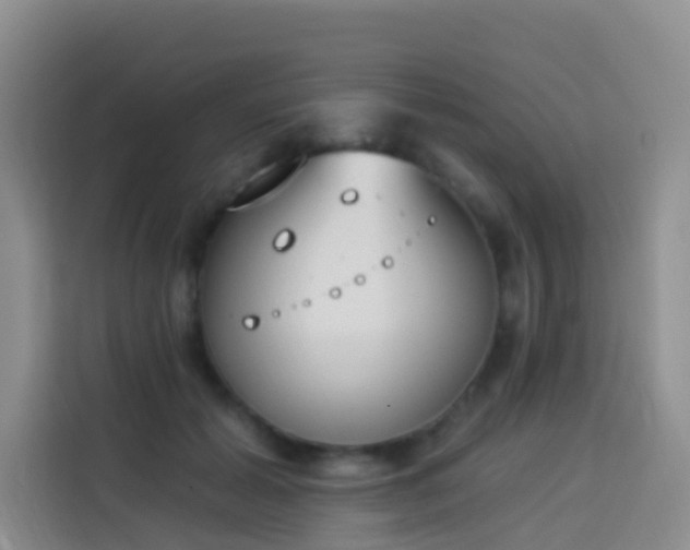 X0000114030605200910021440