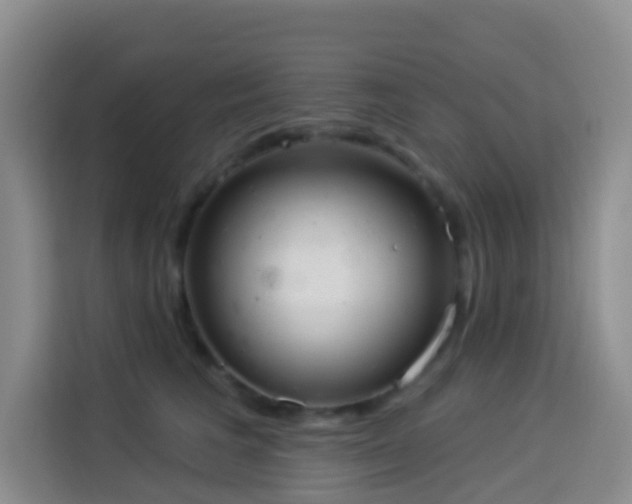 X0000114030613200910021440