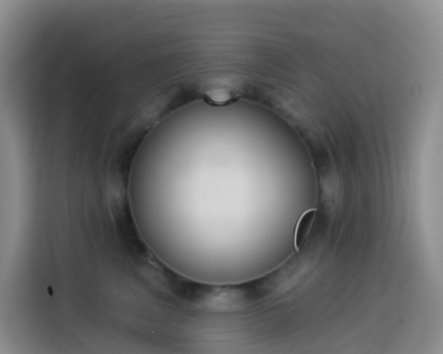 X0000114030617200910021440