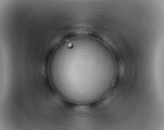 X0000114030619200910021440