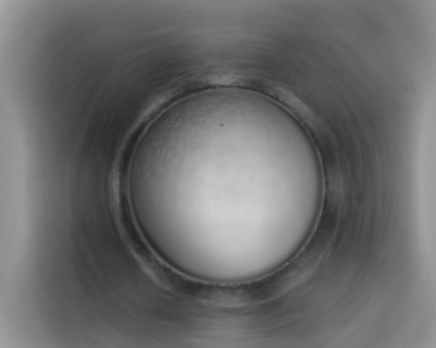 X0000114030626200910021439