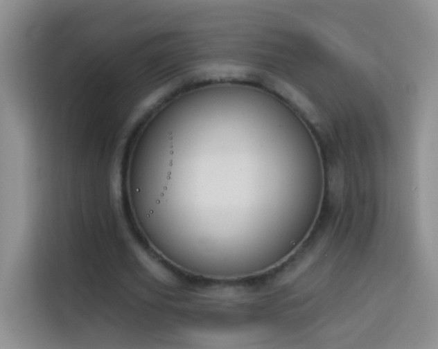 X0000114030629200910021439