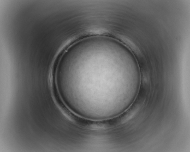 X0000114030630200910021439
