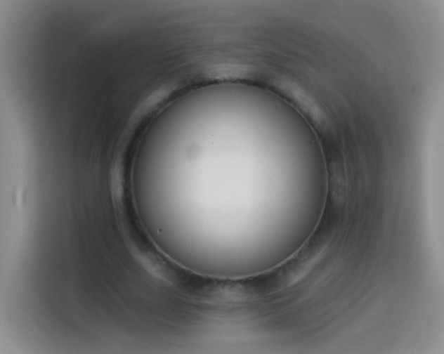 X0000114030631200910021439