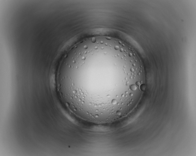 X0000114030633200910021439