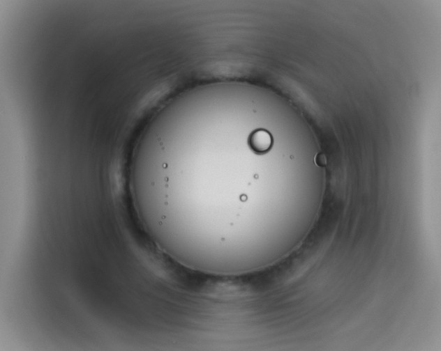 X0000114030635200910021439