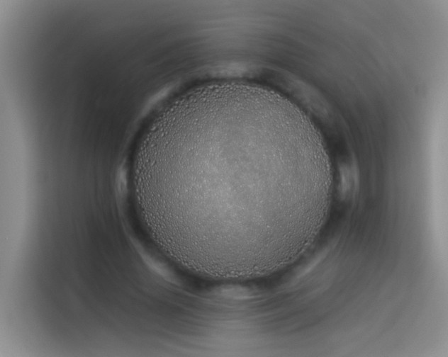 X0000114030636200910021439