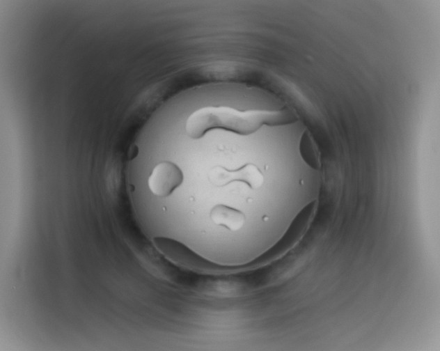 X0000114030645200910021439