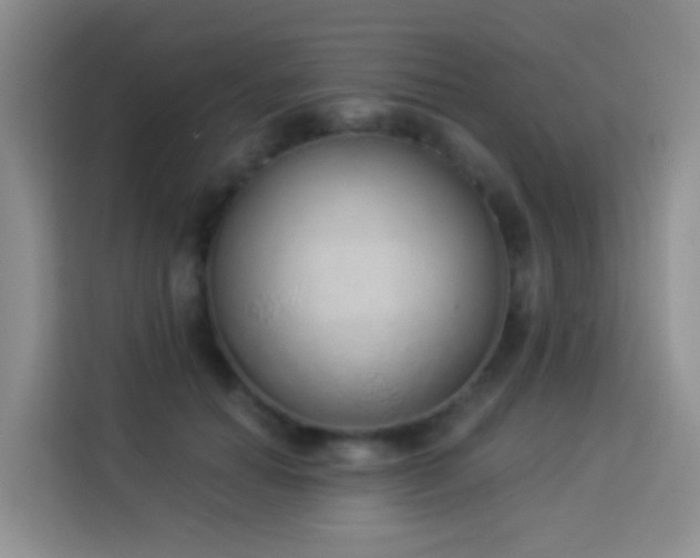 X0000114030654200910021439