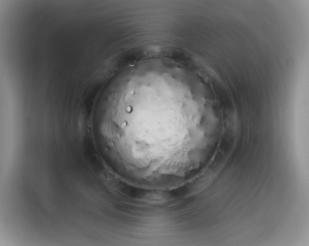 X0000114030659200910021439