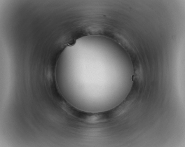 X0000114030662200910021439