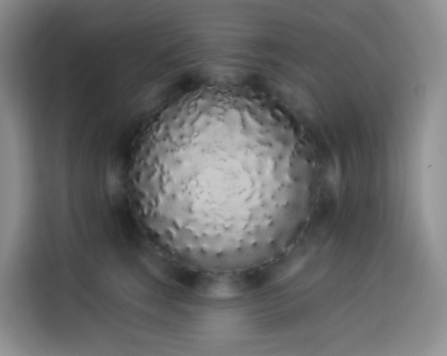 X0000114030663200910021439