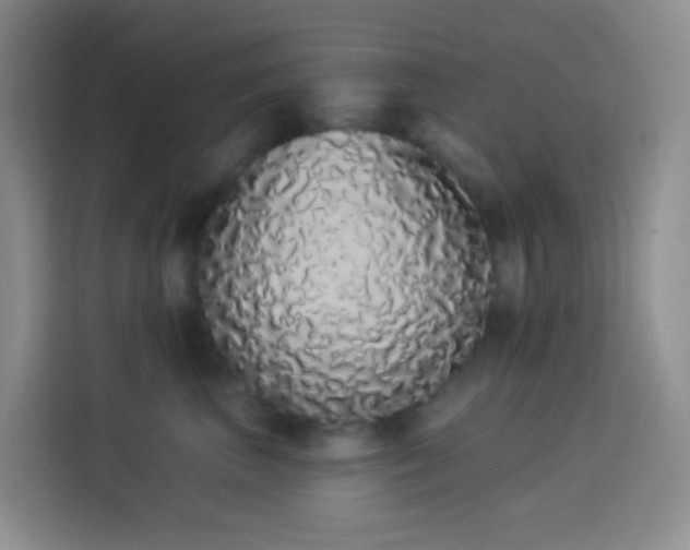 X0000114030667200910021439