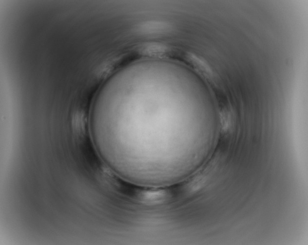 X0000114030669200910021439