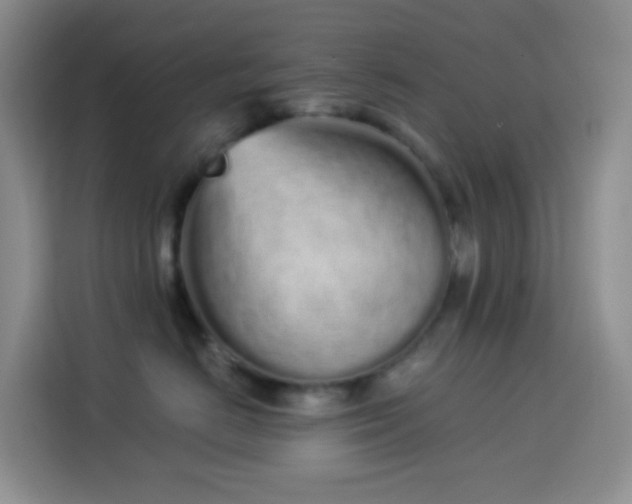 X0000114030670200910021440