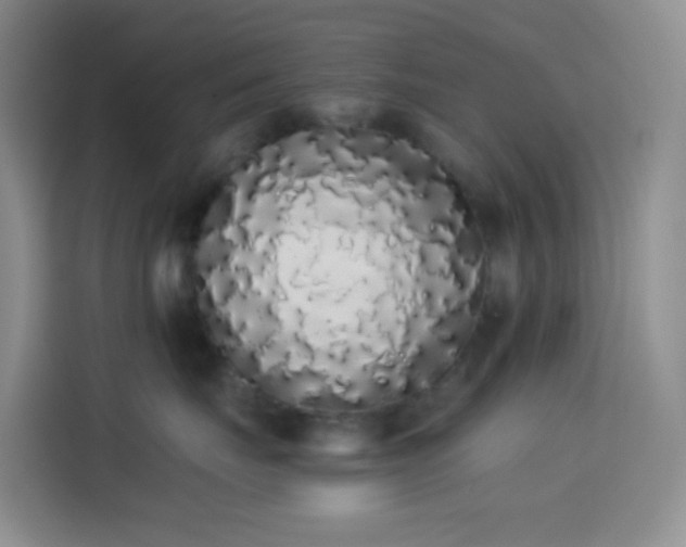 X0000114030671200910021440