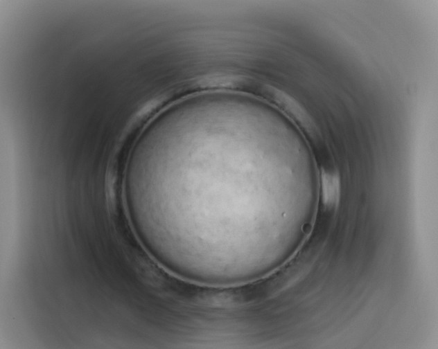X0000114030675200910021439