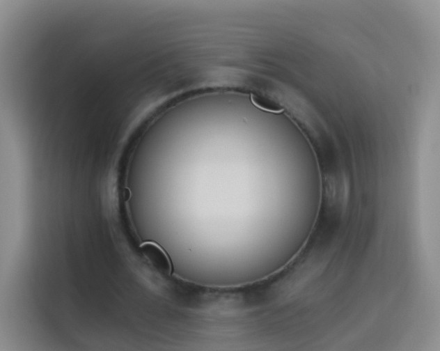 X0000114030676200910021439