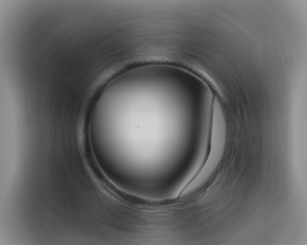 X0000114030677200910021439