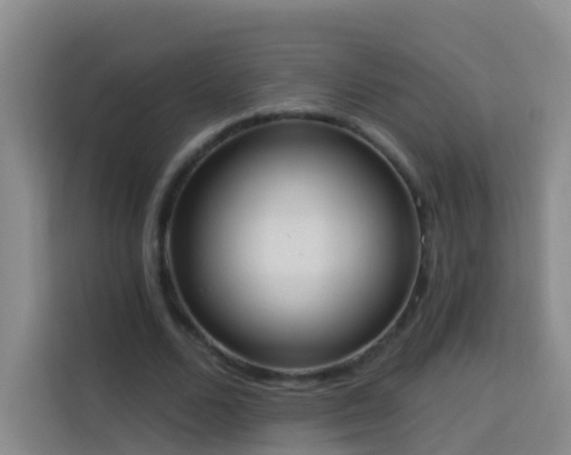 X0000114030680200910021439