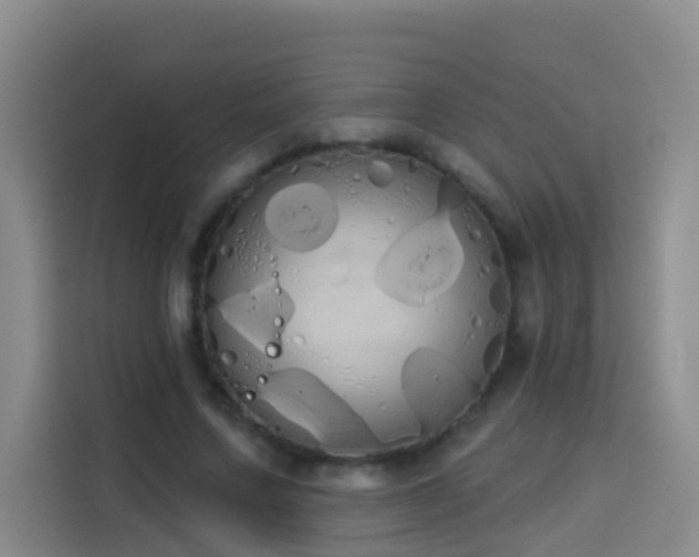 X0000114030683200910021439