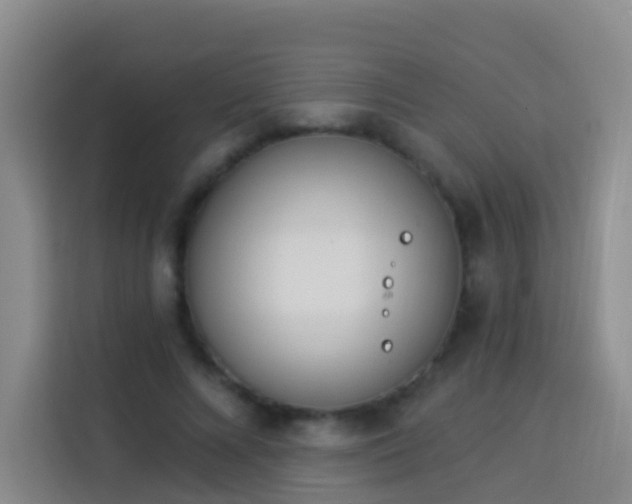 X0000114030688200910021439